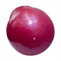 картинка Мяч LiveUp гимнастический арахис LS3223A 